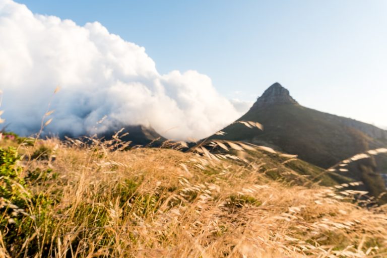 The Art of Slow Travel: Embracing Nature’s Pace